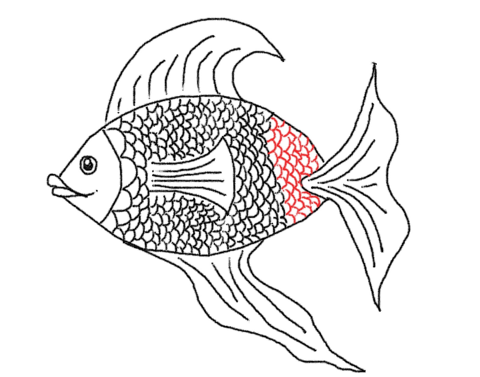 Cartoon Fish Sketch Drawings with simple drawing