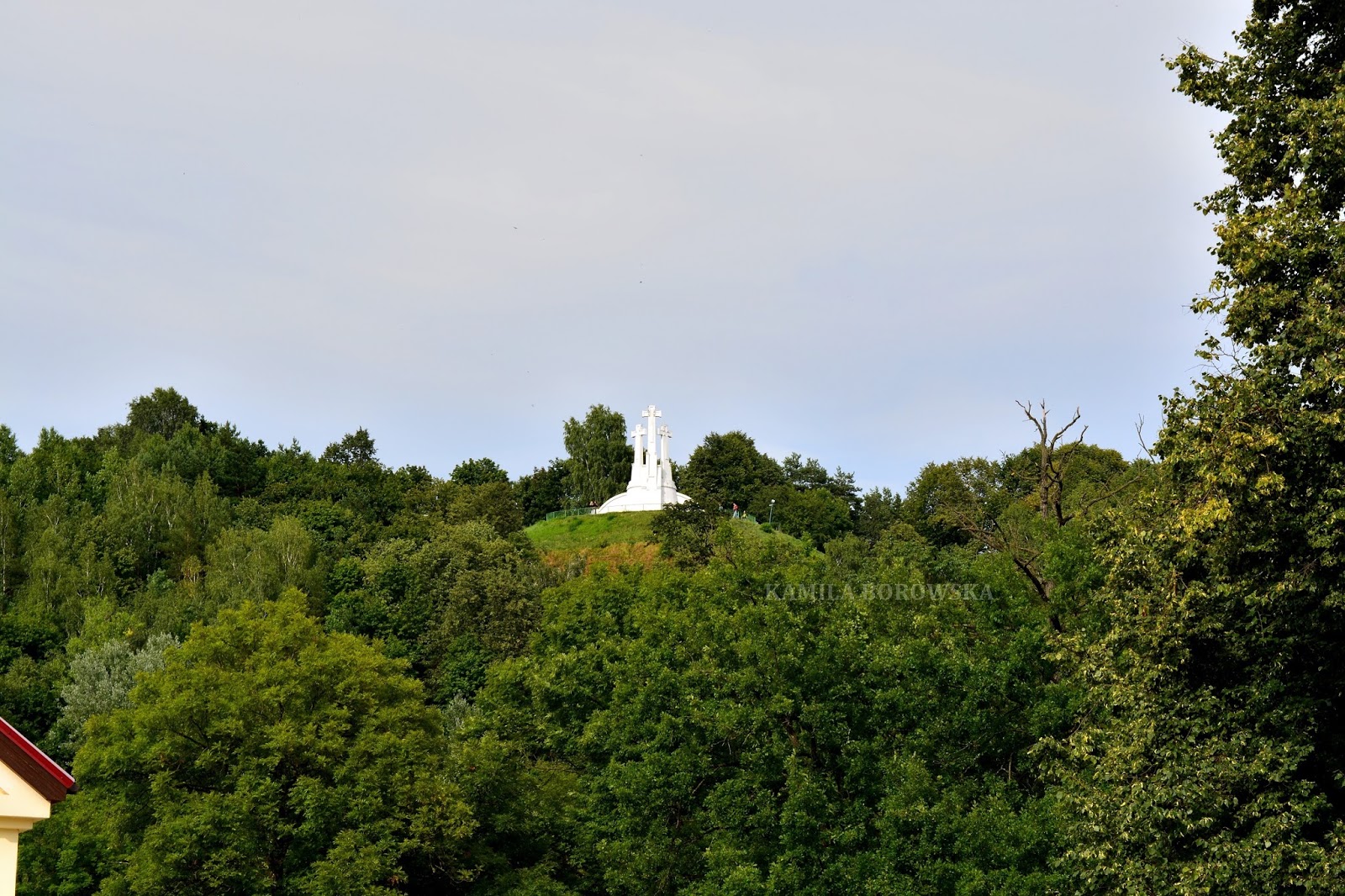 DSC_0517.JPG
