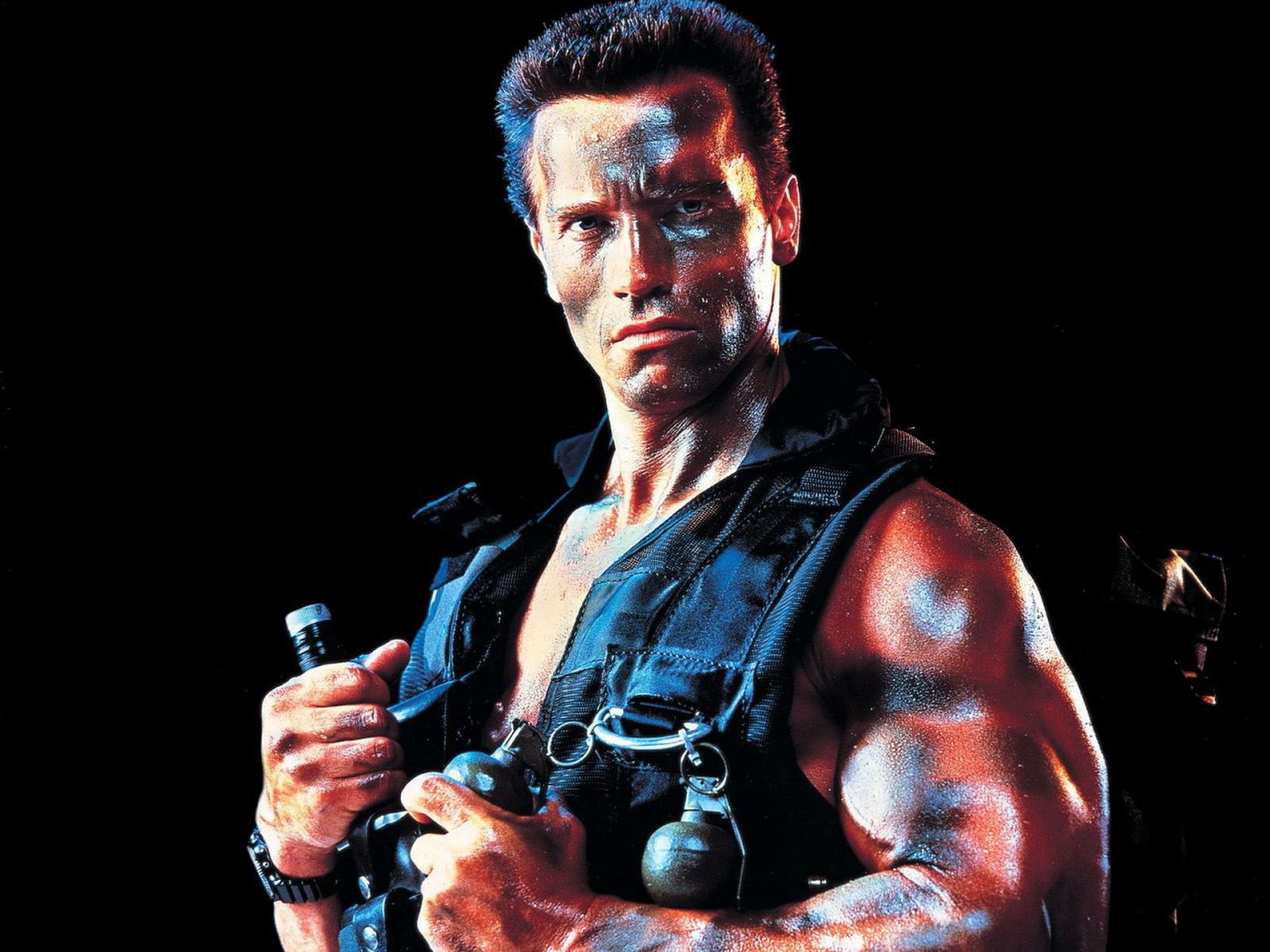 arnold 14 arnold 14