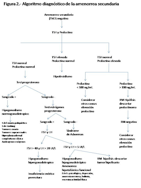 Algoritmo diagnóstico amenorrea secundaria