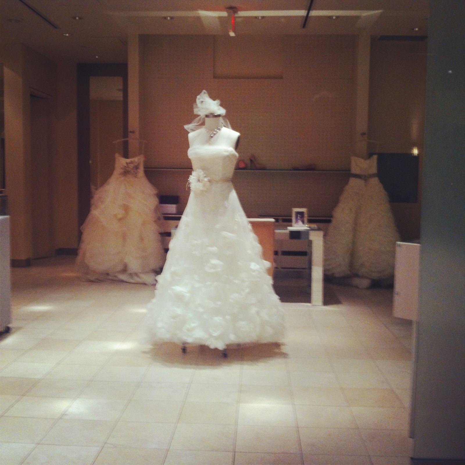 vera wang dylan