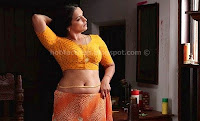 Swetha, menon, milky, navel, show, while, changing, saree