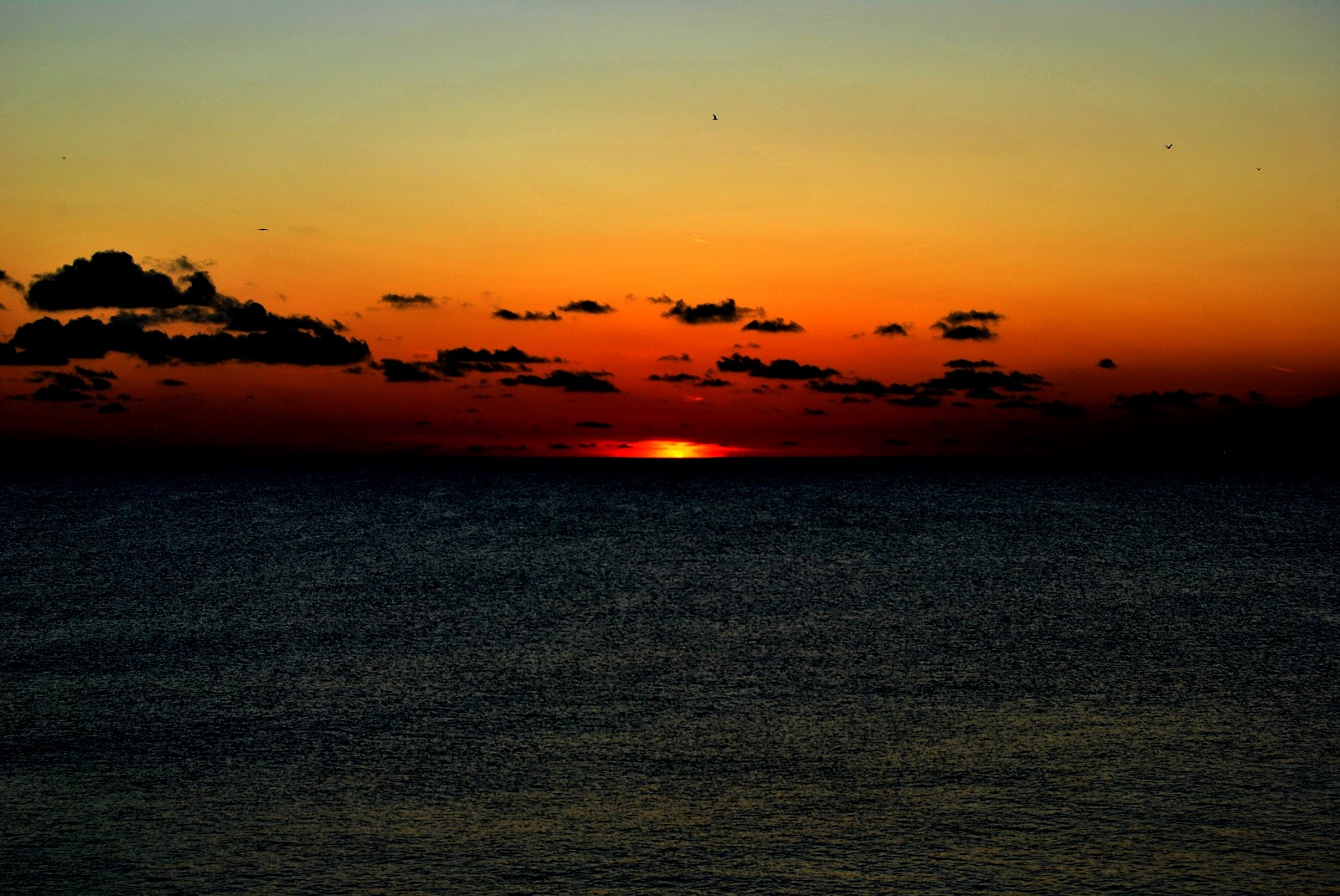 Le Immagini Cambiano La Vita La Vita Cambia Le Persone Le Persone Cambiano Le Immagini Tramonti