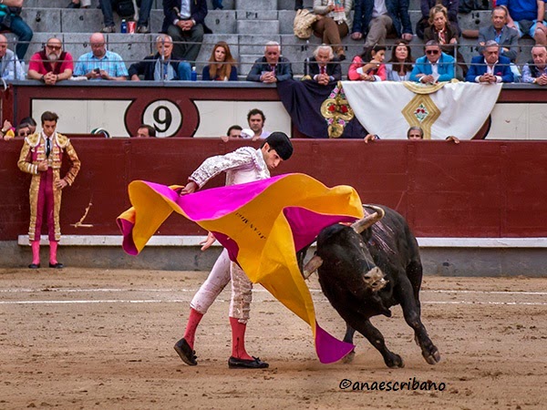 GONZALEZ SANCHEZ DALP gonzalez sanchez dalp: