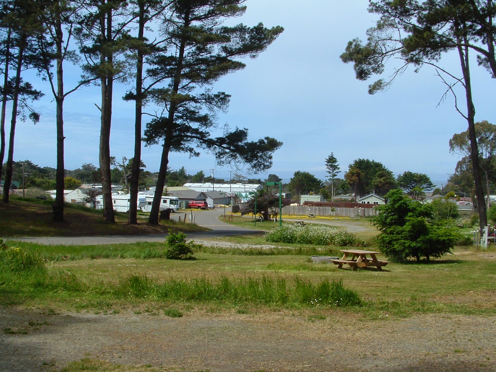 Hidden Pines RV Park Campground Fort Bragg California Fort Bragg RV Park and Camping Trips