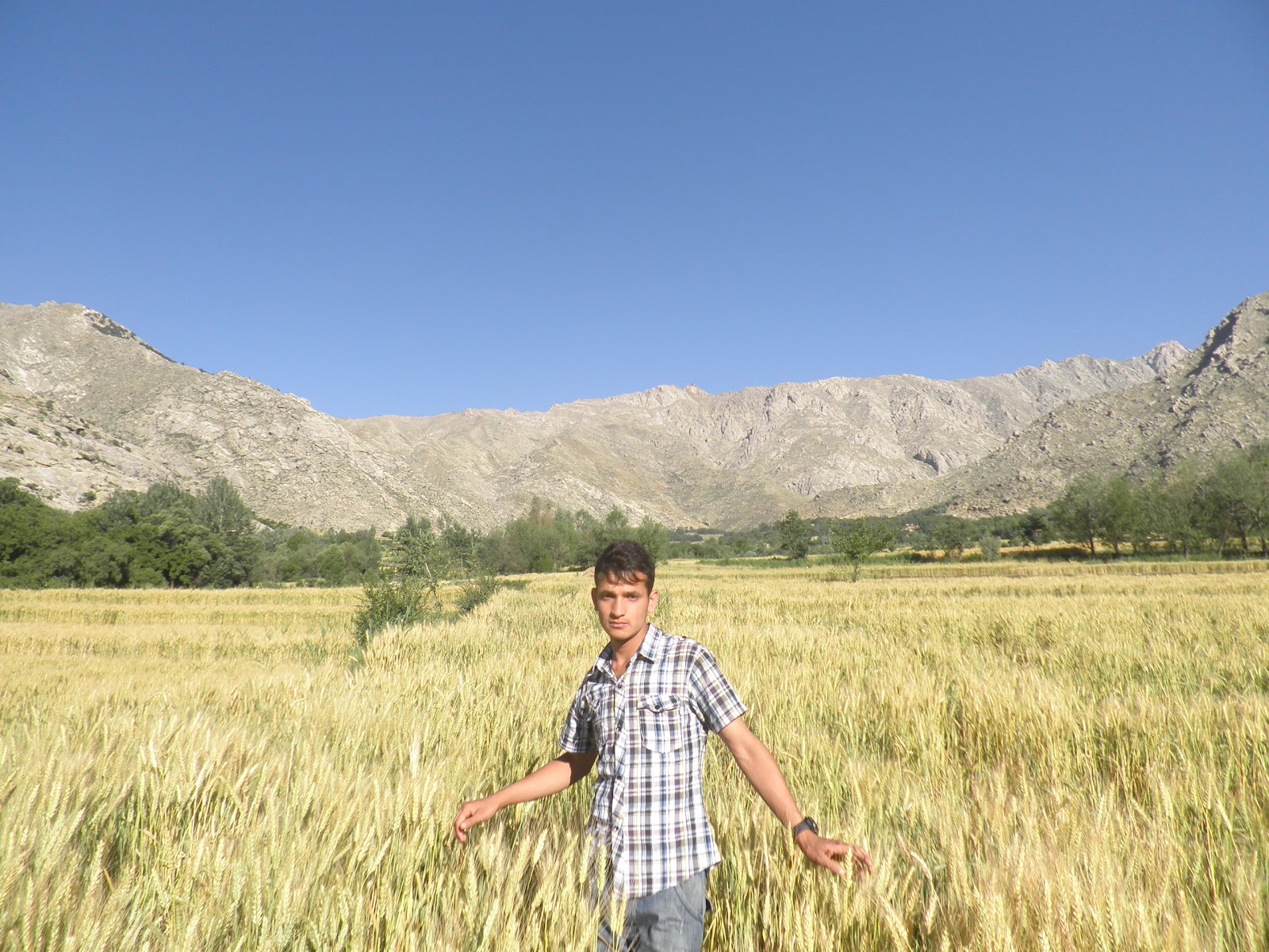 July 2012 najrab