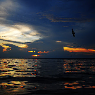 Amazon River, Manaus, Brazil