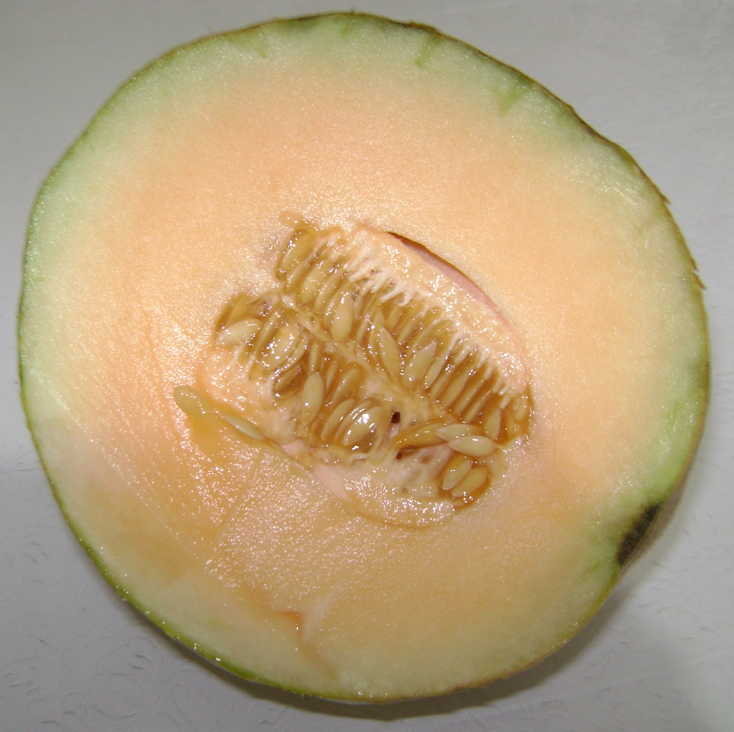 En Ingles Melon De Agua at Mark Barbera blog