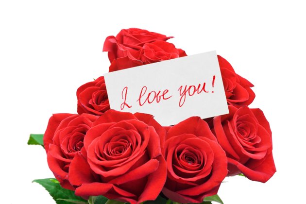 700 Gambar Bunga Mawar Paling Romantis HD Paling Keren 700 Gambar Bunga Mawar Paling Romantis HD Paling Keren