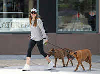 Jessica Biel with her dogs