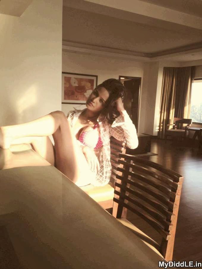 Latest Celebrity Pictures | Indian Sexy Actress Gallery: Poonam Pandey