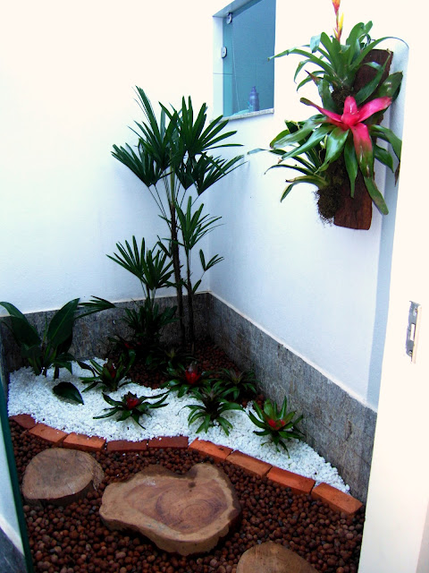 Claraboia vira um jardim de inverno, com especies de sombra, pacova Claraboia vira um jardim de inverno, com especies de sombra, pacova