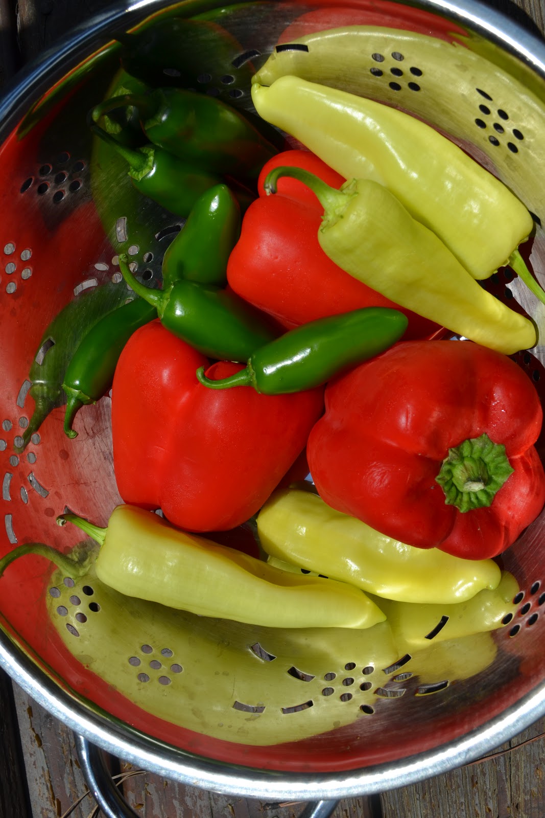bonbons & biscotti Hot Red Pepper Jelly