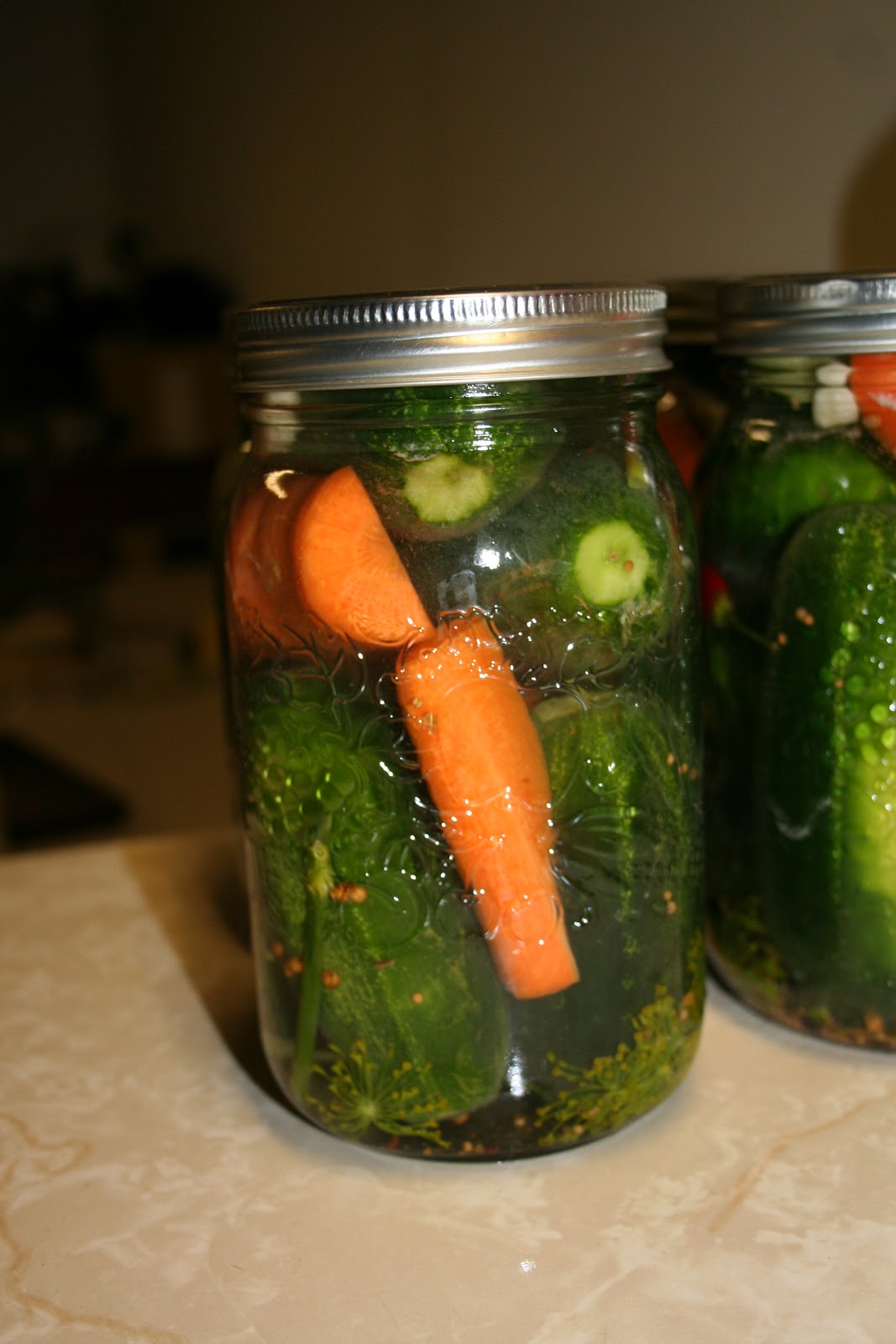 Tammy's Craft Emporium Dill Pickles Lacto Fermentation recipe
