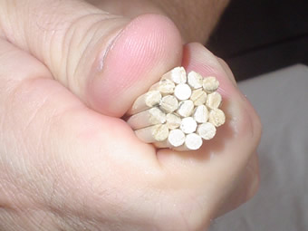 Руты барабанные что это. 08rods endsmooth. Руты барабанные что это фото. Руты барабанные что это-08rods endsmooth. картинка Руты барабанные что это. картинка 08rods endsmooth. Итак, перейдем непосредственно к делу! Руты барабанные что это. 08rods endsmooth. Руты барабанные что это фото. Руты барабанные что это-08rods endsmooth. картинка Руты барабанные что это. картинка 08rods endsmooth. Итак, перейдем непосредственно к делу!