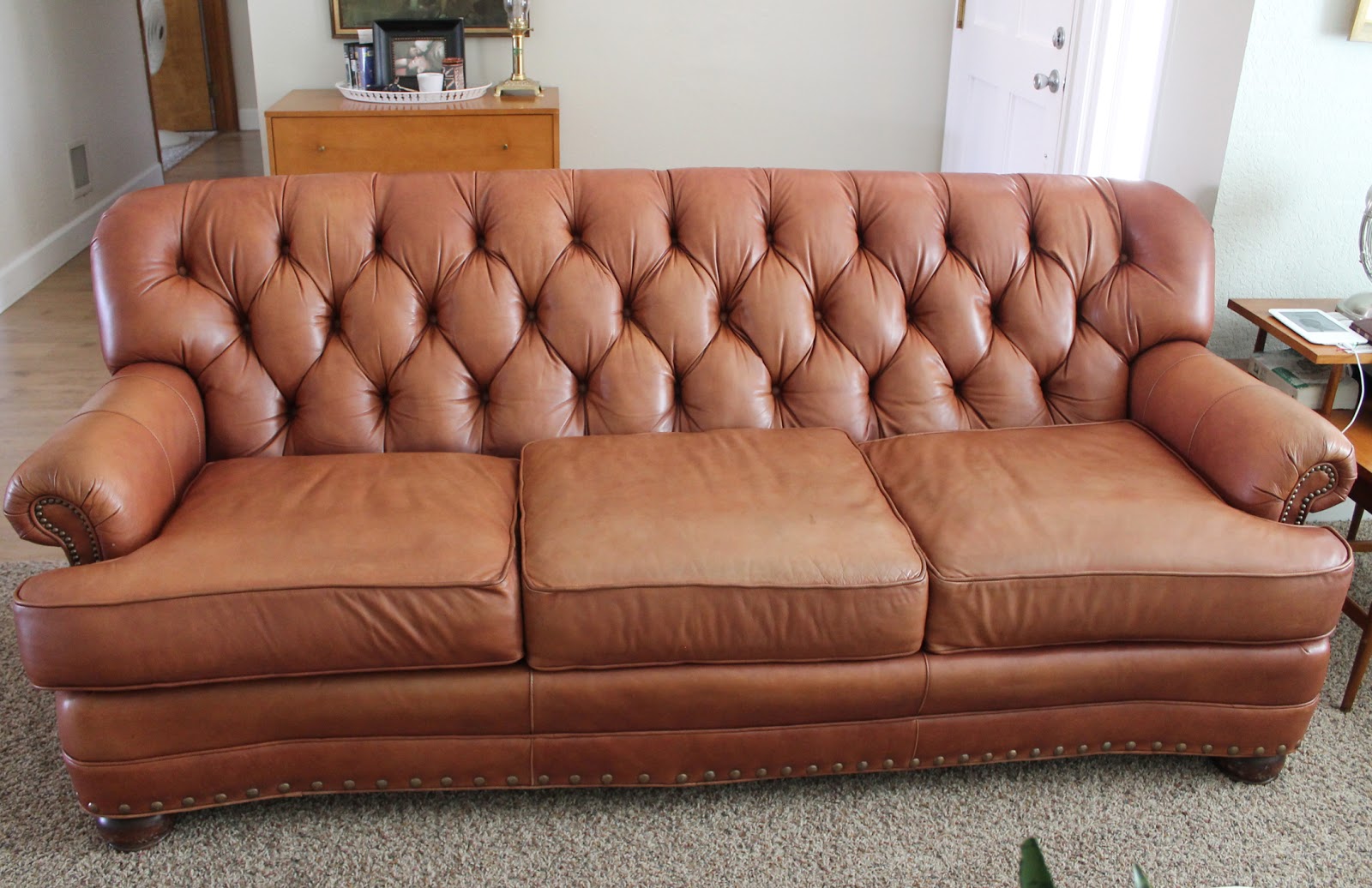 DiligentDesigner Leather Cleaner and Conditioner (Guardsman VS Leather