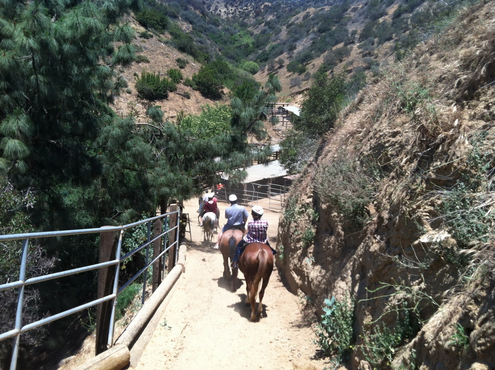 Travelbynic Sunset Ranch / Horseback riding