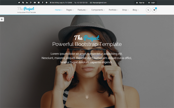 Download The Project - Multipurpose Template