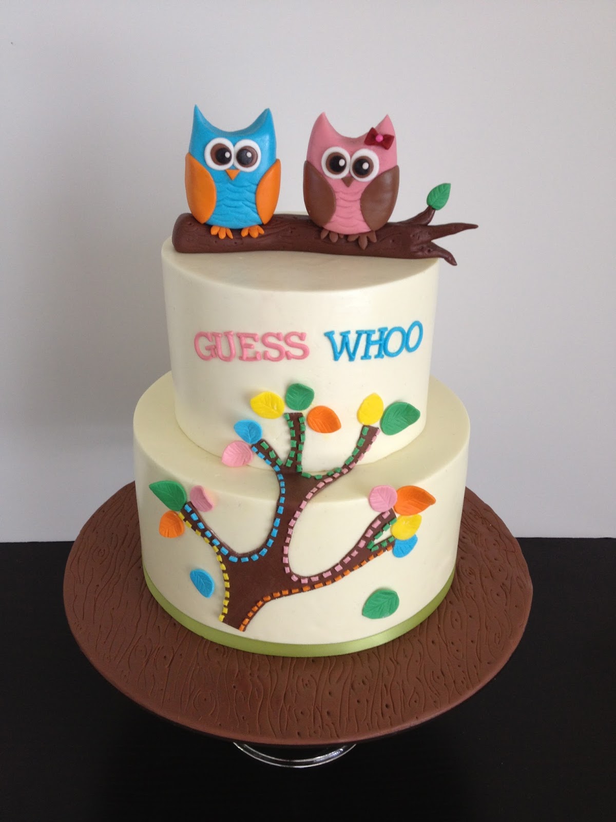 Eileen Fry Cakes: Guess Whoo? Gender Reveal Owl Cake