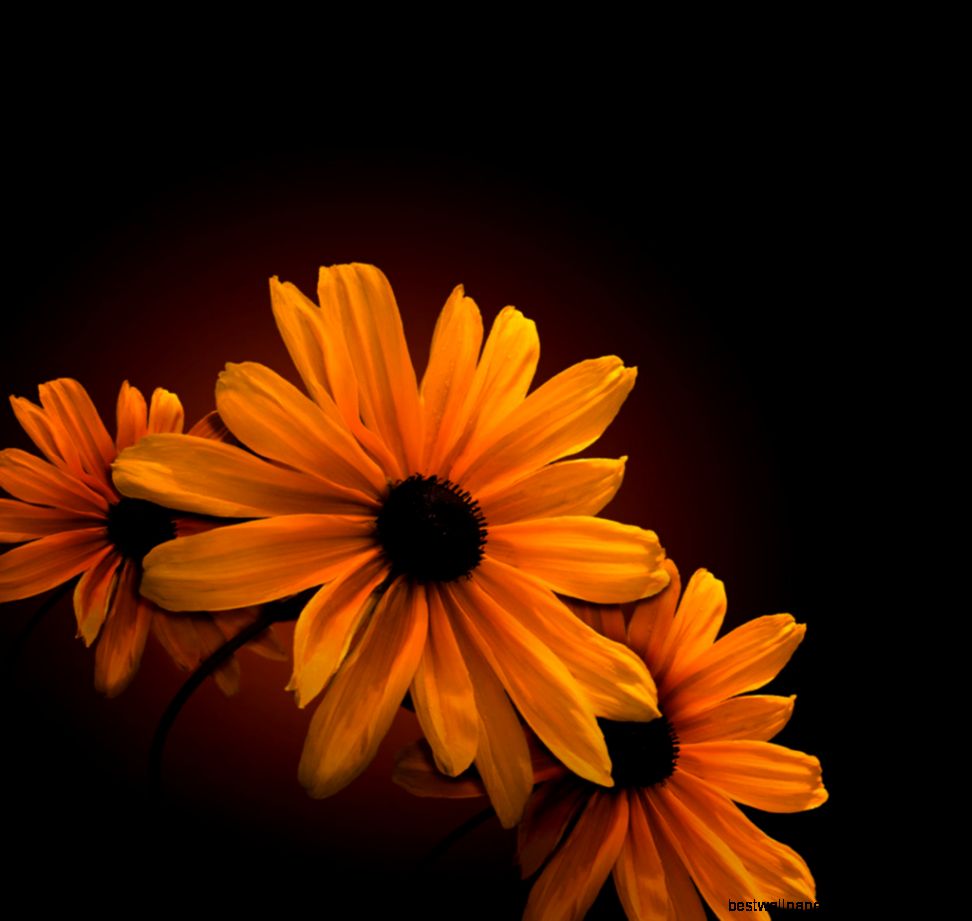 Nice Phone Wallpapers WallpaperSafari Nice Phone Wallpapers WallpaperSafari