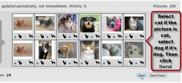 cat-dod+pictures+(pixprofit+anti-cheat+captcha)+for+blog.png