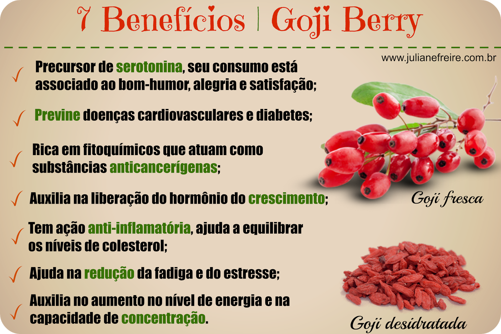 Testei Goji Berry em Pó Bionatus