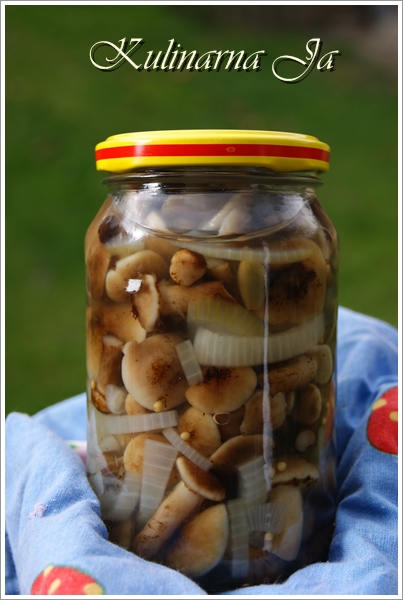 Kulinarna Ja Marynowane Opienki