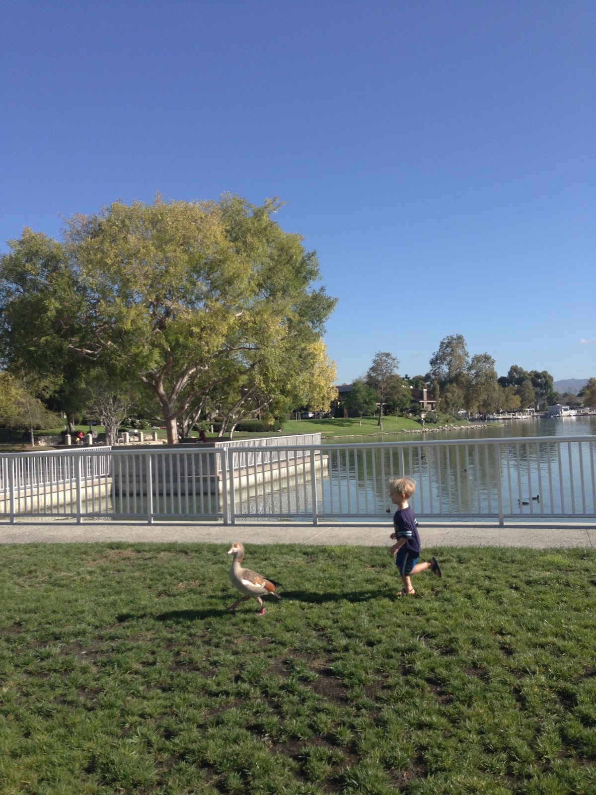 Beautiful Life Adventures With A Half Empty Jogging Stroller