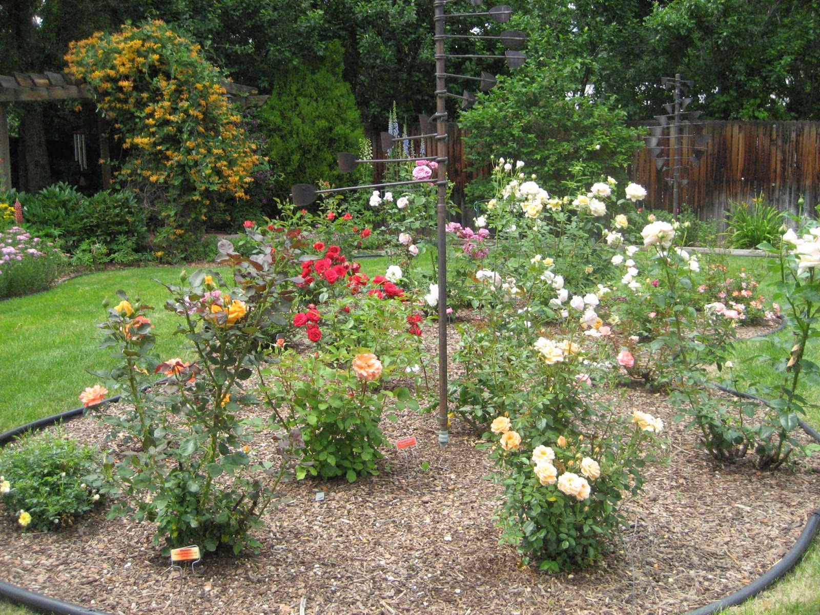 JeffCo Gardener Planning for Spring What Kind of Mulch Should I Use