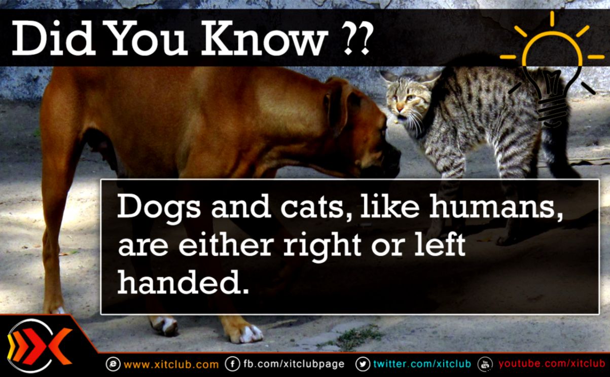 26082d1412000144 fact 7 26082d1412000144 fact 7