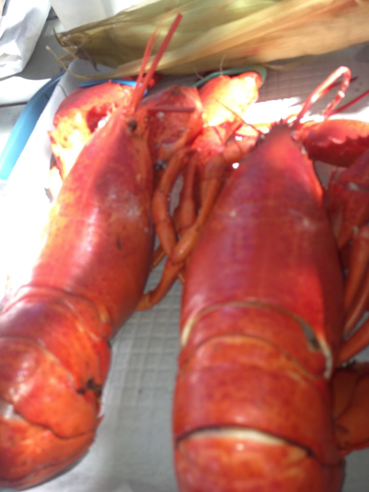 Go with the Gilmore's Cabbage Island Lobster and Clam Bake