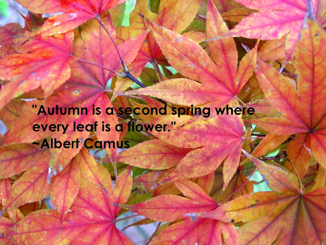 Autumn Quotations2
