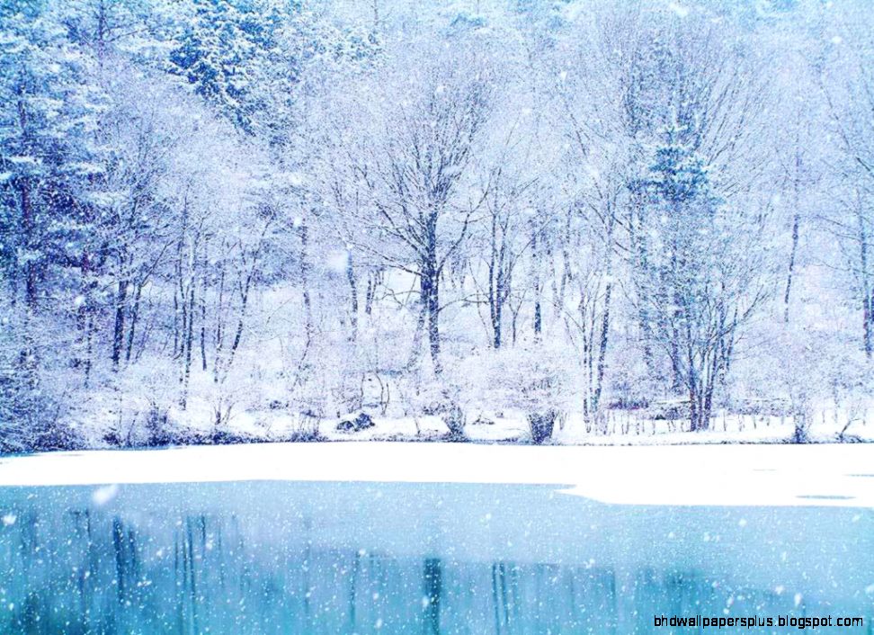3 reasons to take vitamin D this winter Dr Ellen Simone39s Tips 3 reasons to take vitamin D this winter Dr Ellen Simone39s Tips