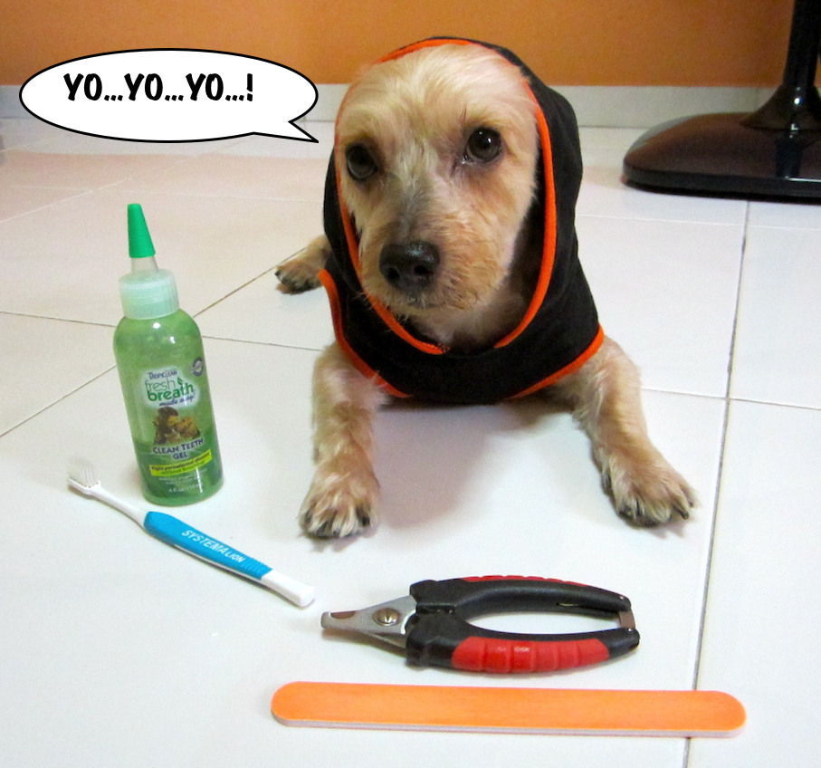grooming and hygiene