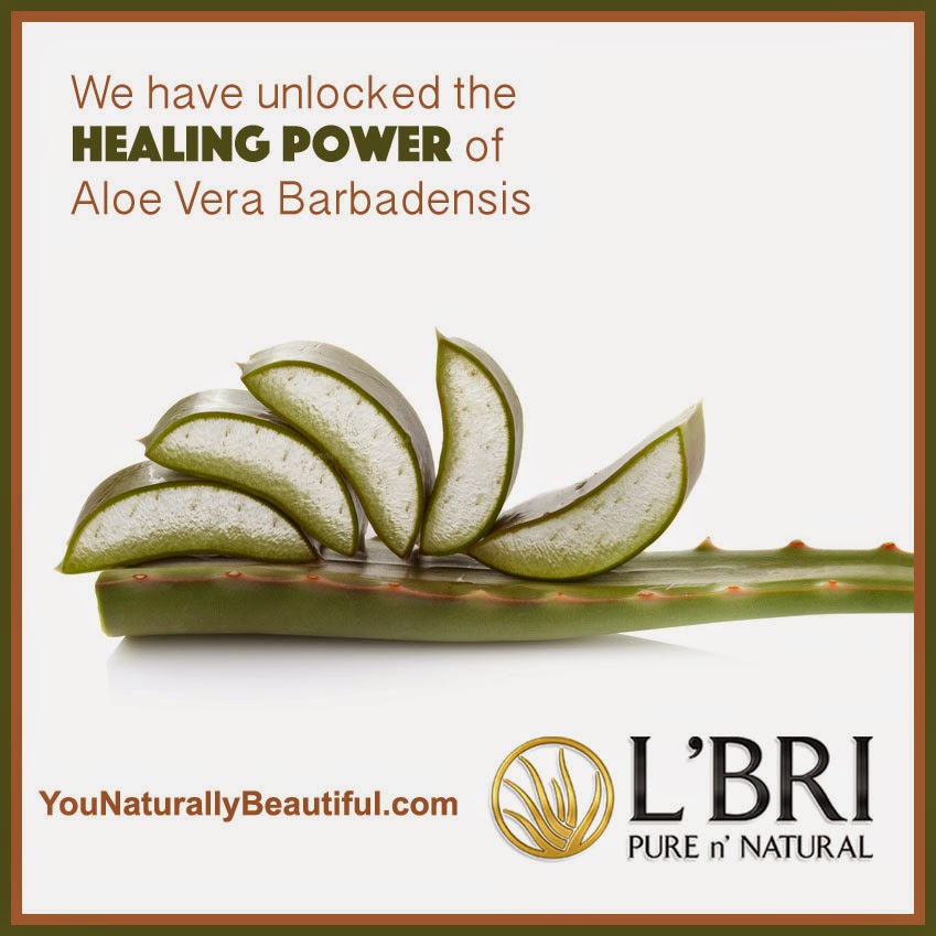 You Naturally Beautiful Healing Power of Aloe Vera Barbadensis
