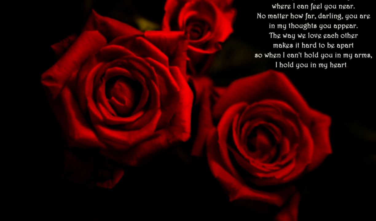 Rose Wallpaper Hd Tumblr For Walls for Mobile Phone widescreen for Rose Wallpaper Hd Tumblr For Walls for Mobile Phone widescreen for
