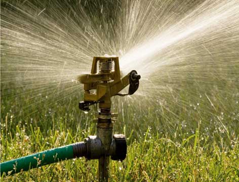 ARTE Y JARDINERÍA : Césped. Fertilización y abonos. Mantenimiento de