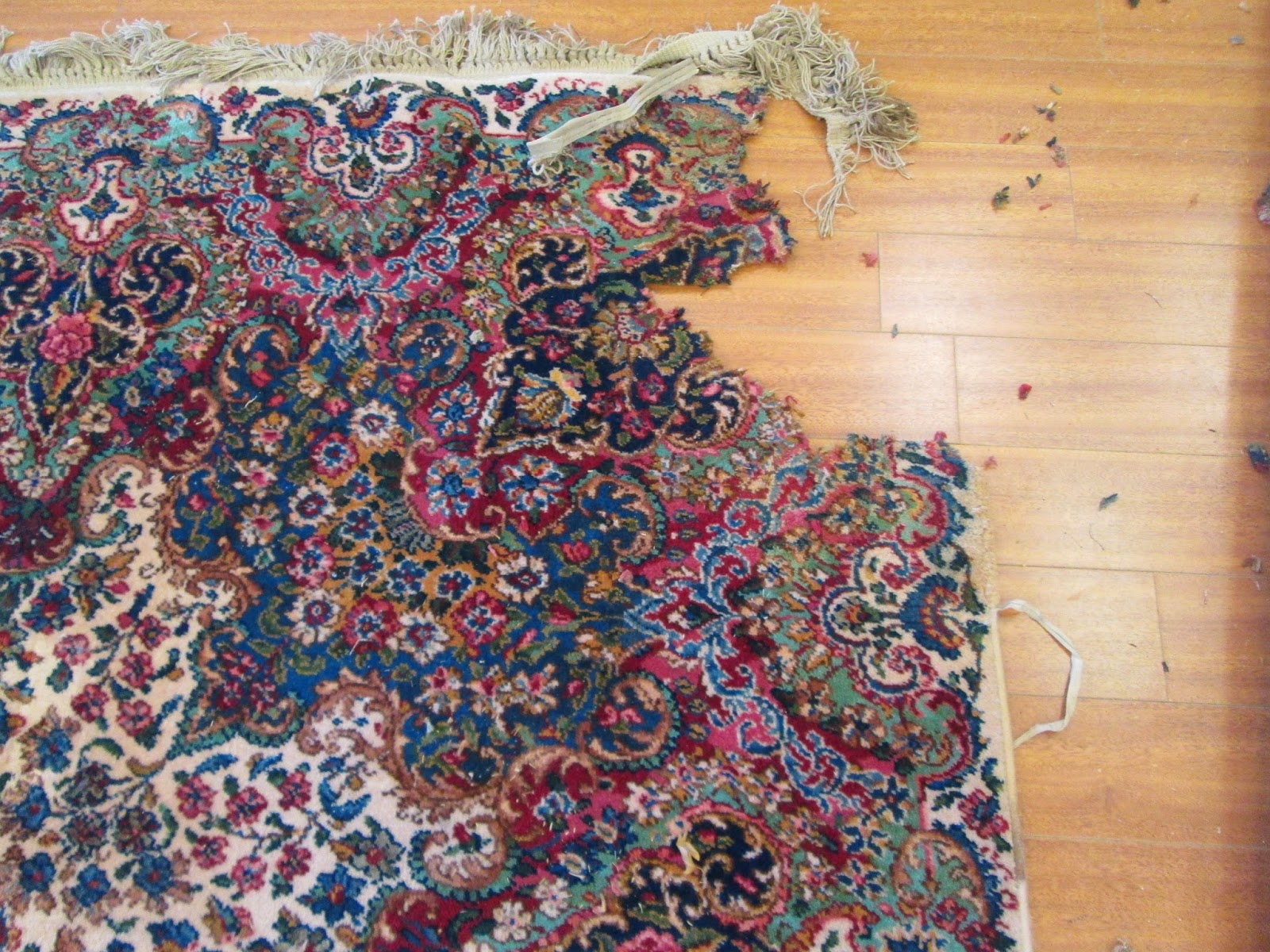 Rug Master Karastan Area Rugs Cleaning and Repair in Los Angeles