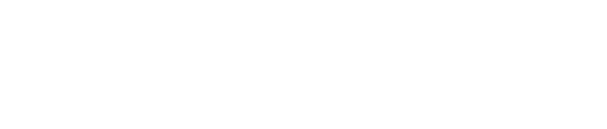 Los Andes Minerales