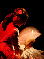 Dança Flamenca
