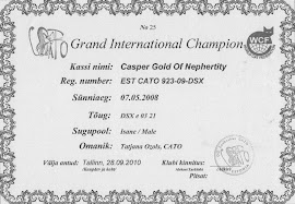 Титулы Casper Gold of Nephertity