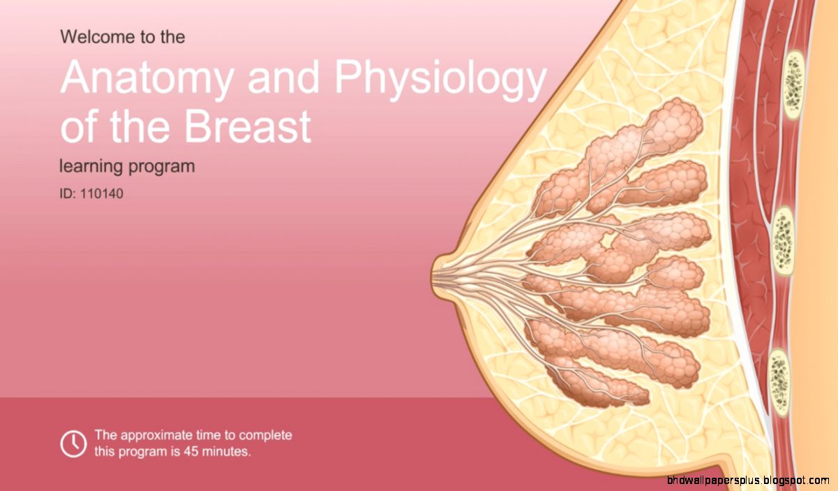 OnDemand™ Anatomy and Physiology of the Breast OnDemand™ Anatomy and Physiology of the Breast