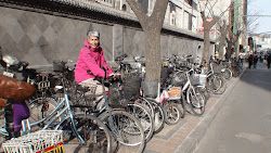 Le vélo est encore populaire à Beijing