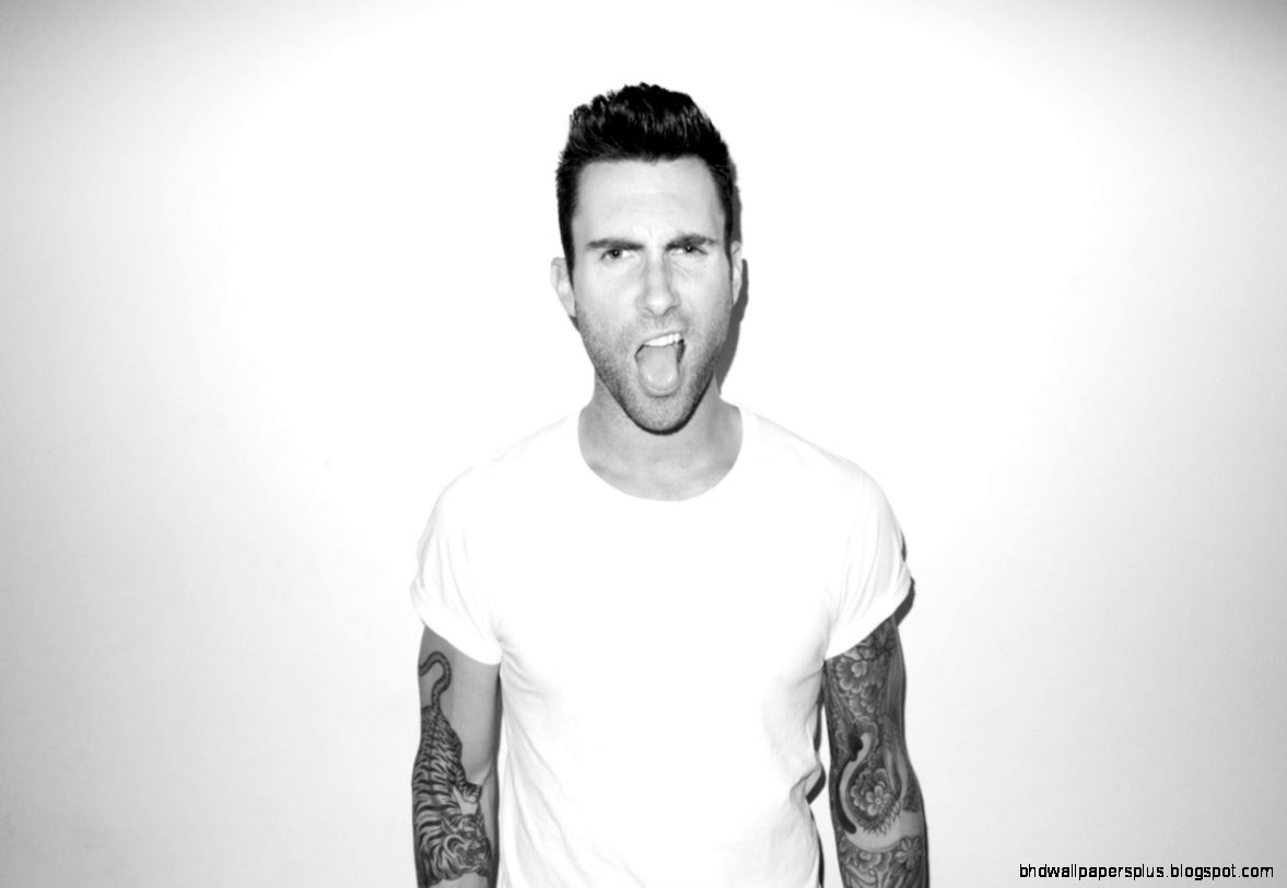 Adam Levine Wallpaper 6881746 Adam Levine Wallpaper 6881746