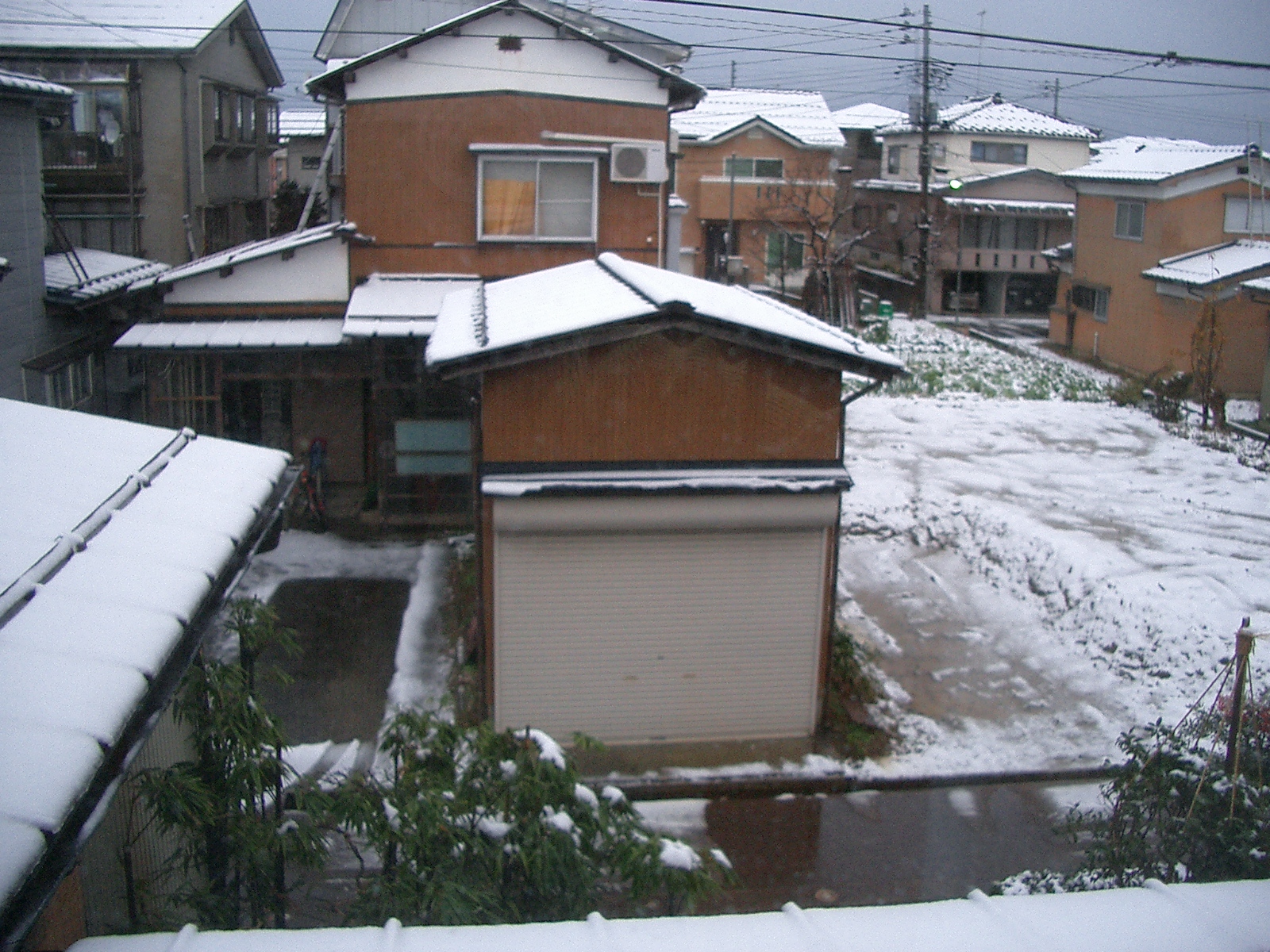 Learn Japanese Online 冬将軍 ふゆしょうぐん Jack Frost