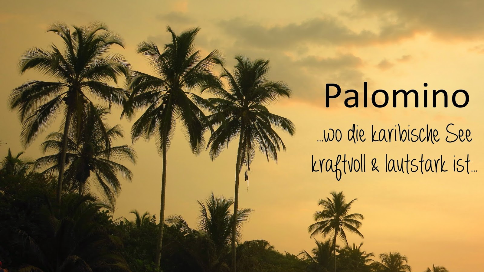 Doros Motorblock Fast Bis Ans Ende Der Welt Unterwegs In