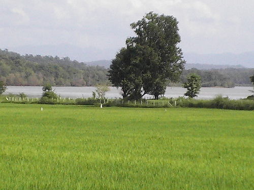 Gajanur Dam