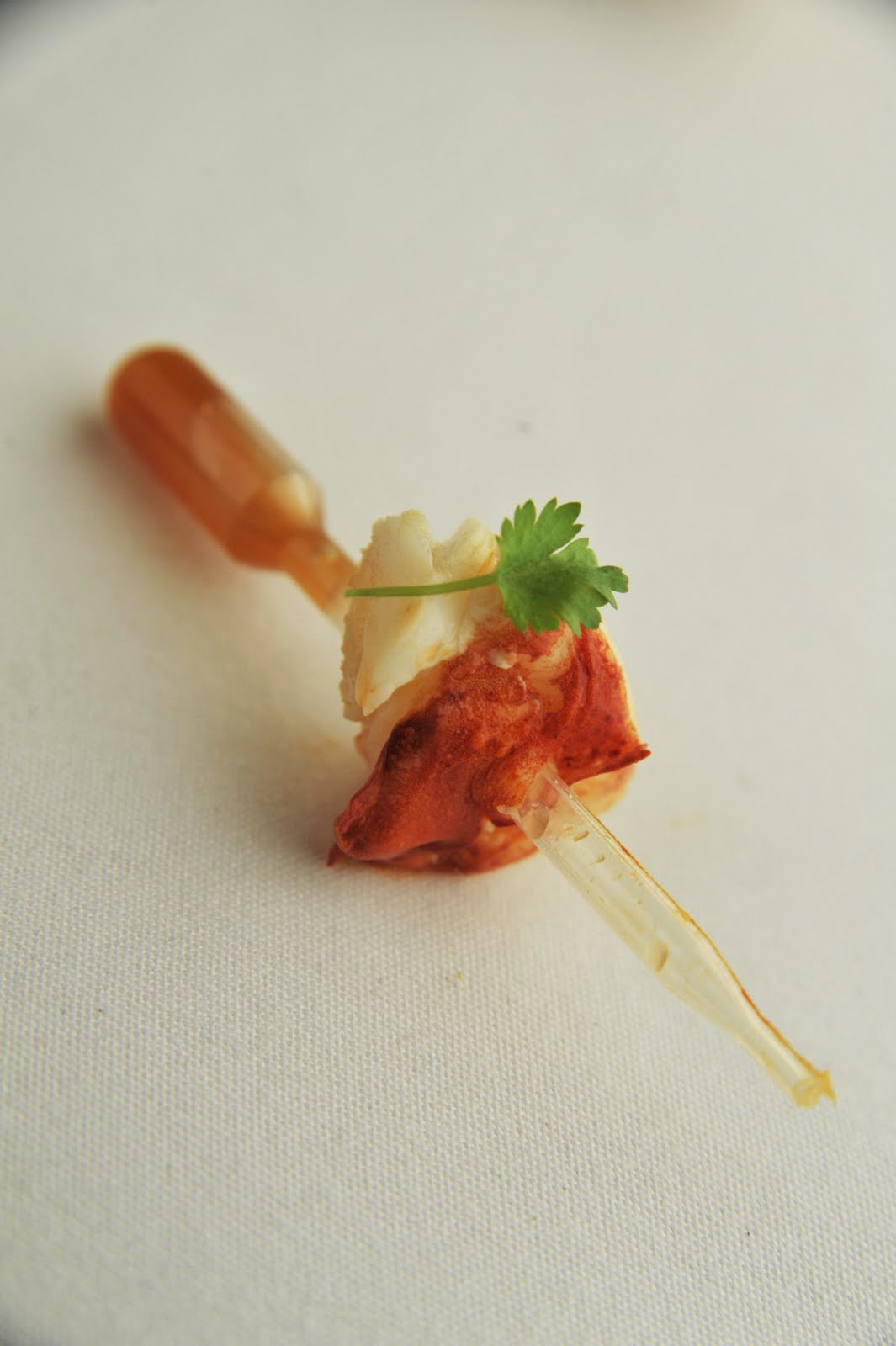 Star Chef Series at Gracie's Featuring Evan Mallett Adventures In Rhode Island Dining