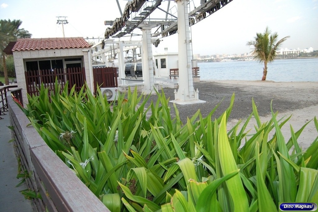 dinodxbdino DUBAI CABLE CAR, CREEK PARK DUBAI UNITED ARAB EMIRATES