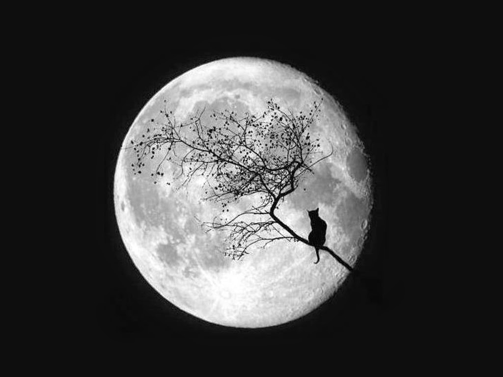 Misterio Desconocido ¿Cuándo es la próxima súper luna?